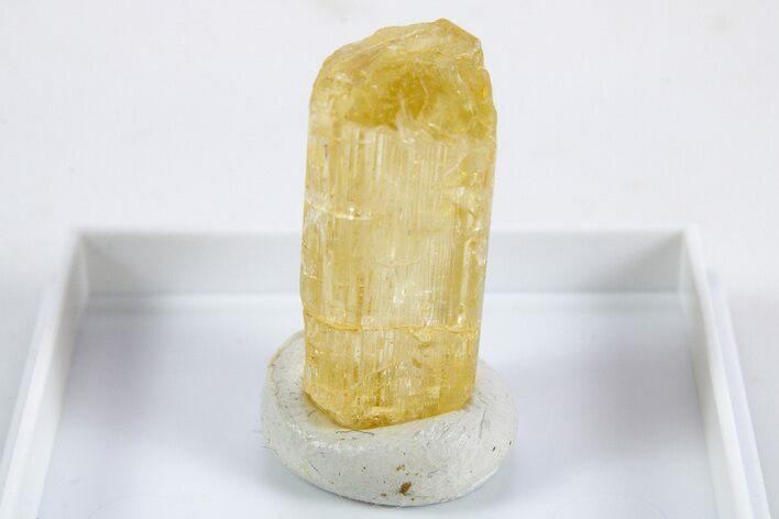 Terminated Yellow Marialite (Scapolite) Crystal - Tanzania #345750
